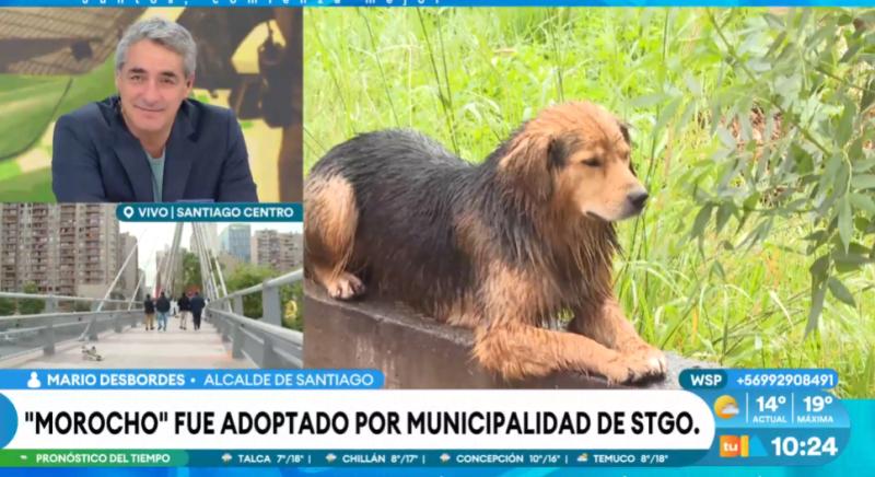 El nuevo presente de Morocho.