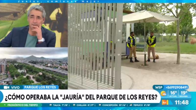 Así operaba la jauría del Parque Los Reyes.