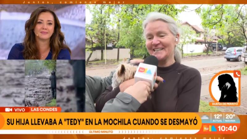 Tedy, la historia del perrito que sobrevivió bajo el barro en el aluvión.