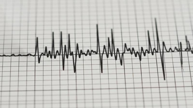 Agencia uno - Sismo sacude la zona central de Chile