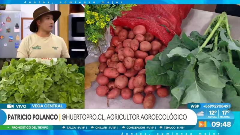 Experto responde por qué ha subido el precio de algunas frutas y verduras