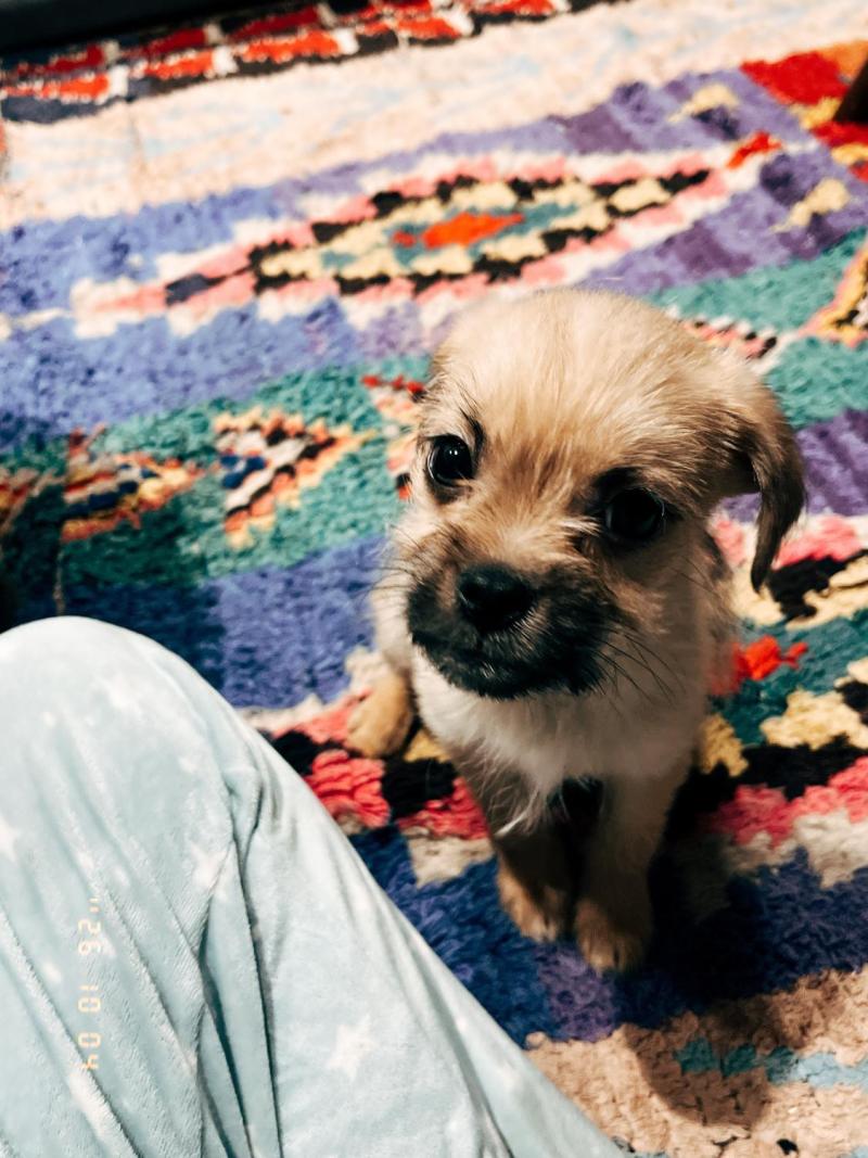María Gracia Omegna mostró al nuevo integrante de su familia | Crédito: Instagram @mariaomegnaoficial