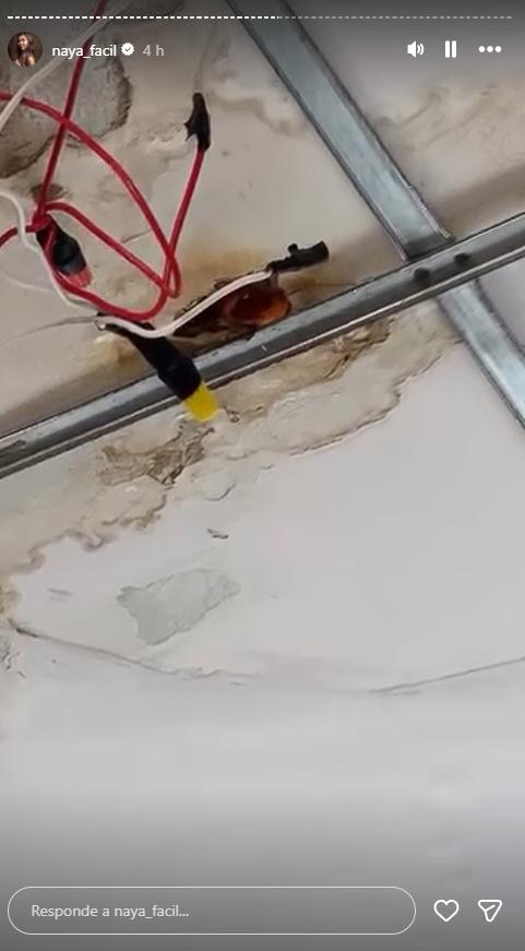Filtraciones en el lujoso penthouse de Naya Fácil | Crédito: Instagram @naya_facil