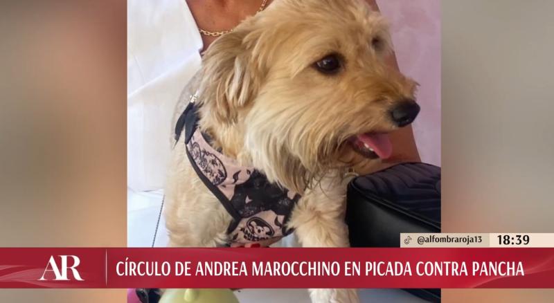 Juventus, la perrita de Pancha Merino y Andrea Marocchino