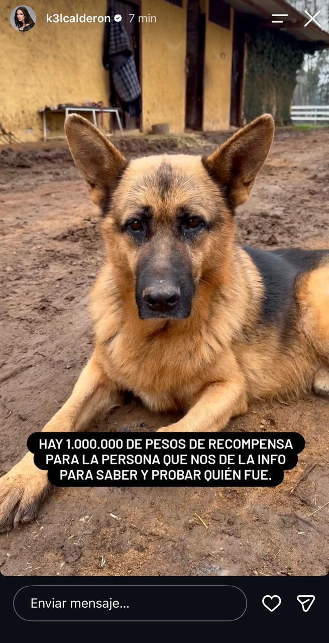 Kel Calderón - Instagram