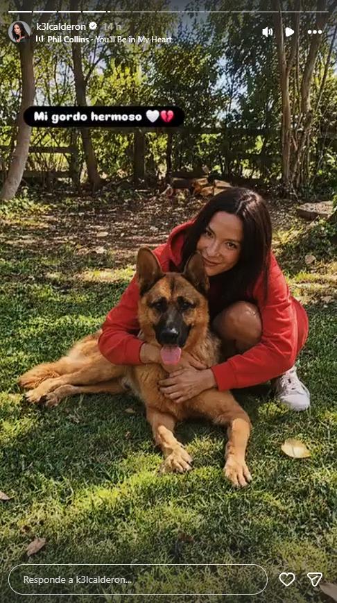 Kel Calderón entregó detalles de cómo sobrelleva la pérdida de sus tres mascotas | Crédito: Instagram @k3lcalderon