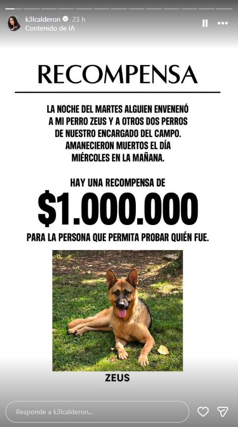 Kel Calderón busca justicia y ofrece una recompensa de $1.000.000 | Crédito: Instagram @k3lcalderon