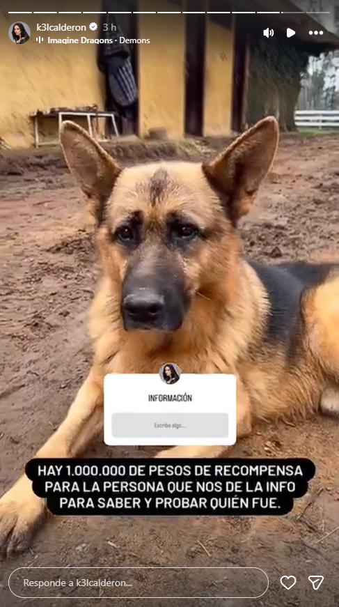 Kel Calderón busca justicia y ofrece una recompensa de $1.000.000 | Crédito: Instagram @k3lcalderon