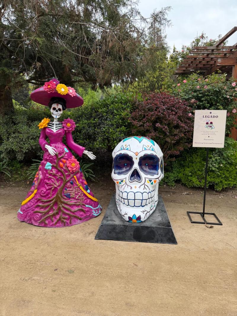 Exhibición de Catrinas y Calaveras