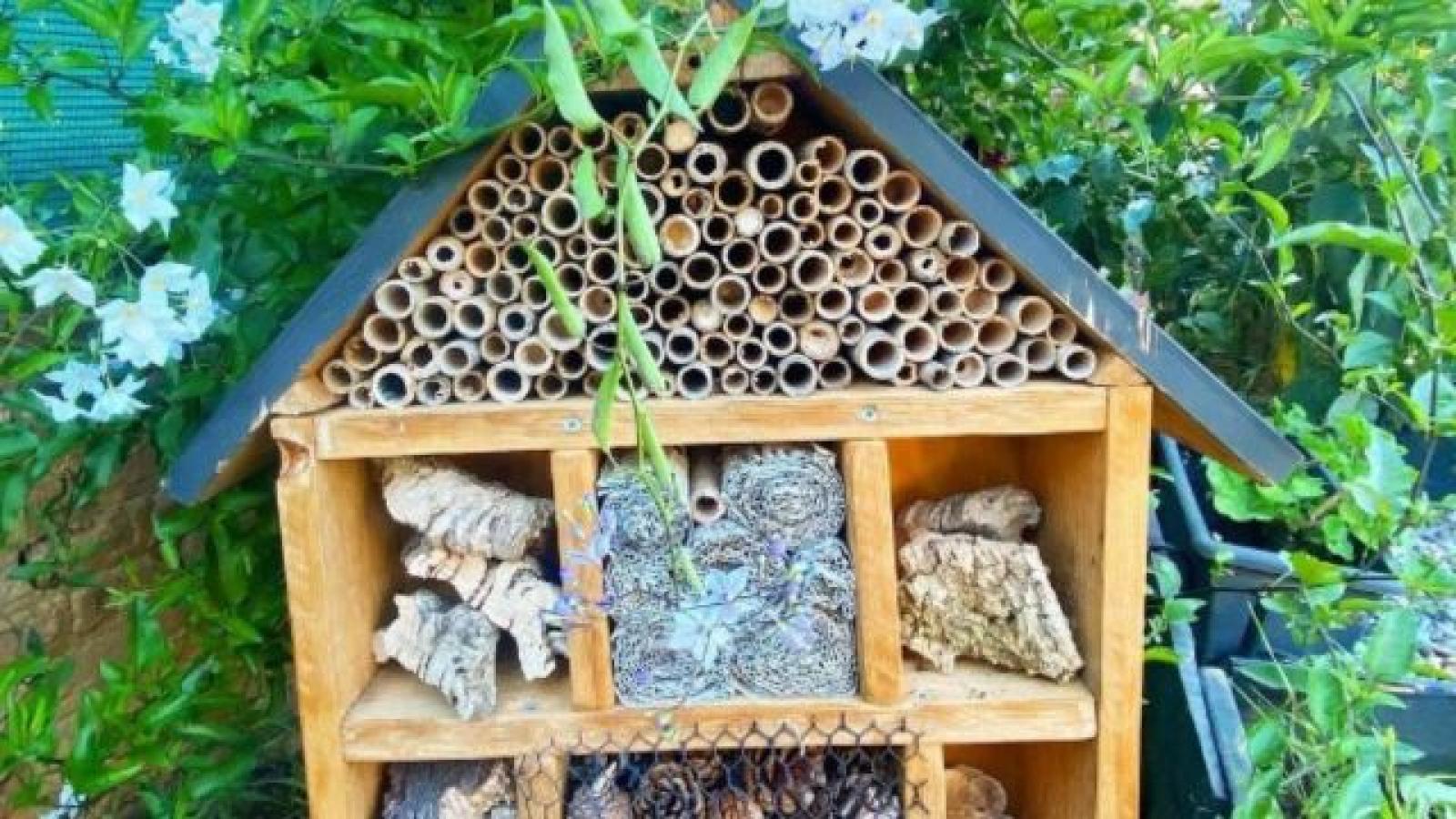 Roteles Insect Descubre en qué consisten los hoteles para insectos, otra forma de ...