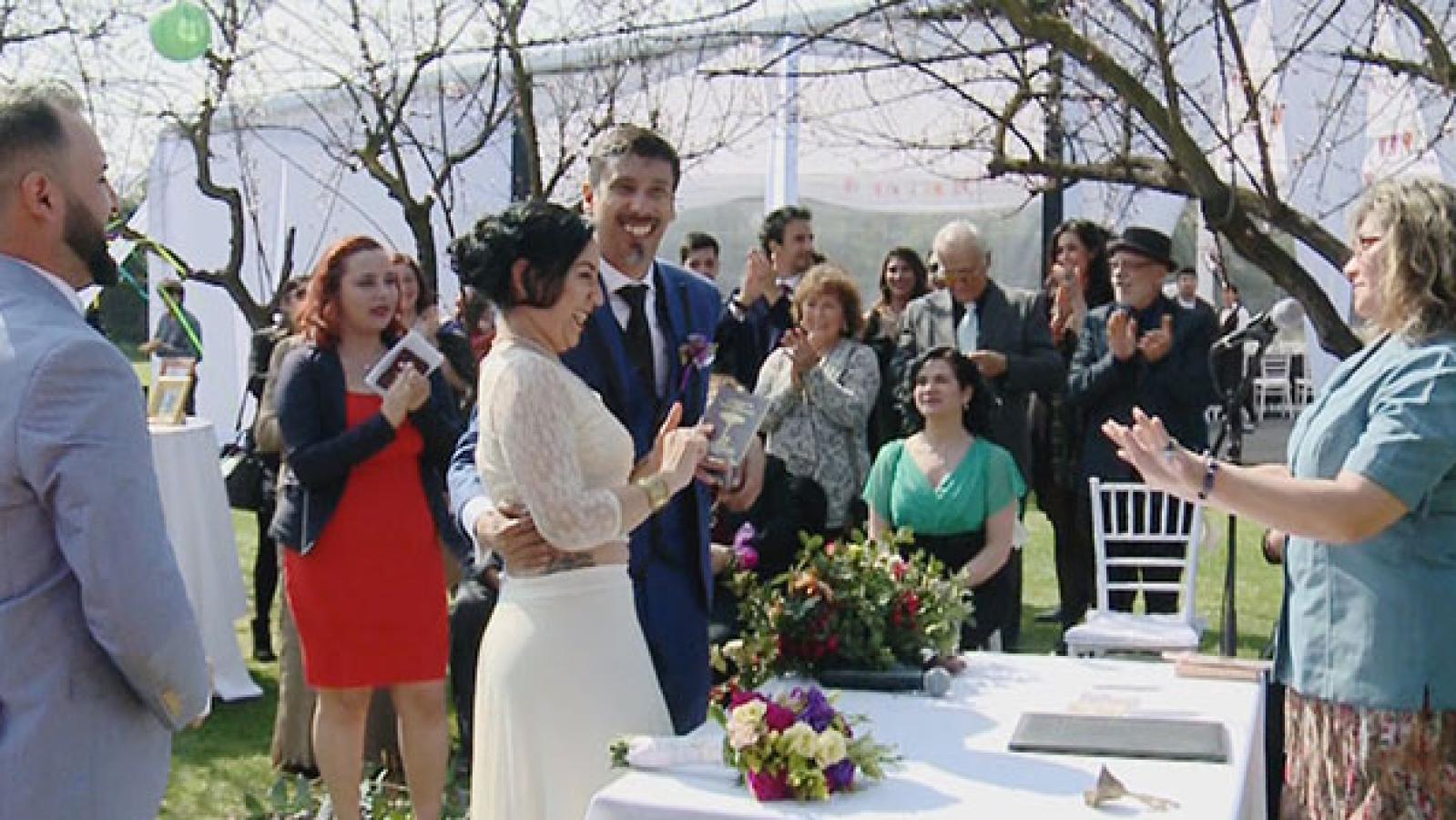 contra viento y marea