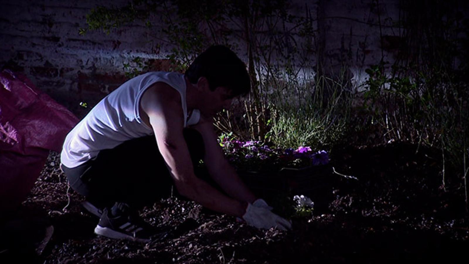 Pacto de sangre