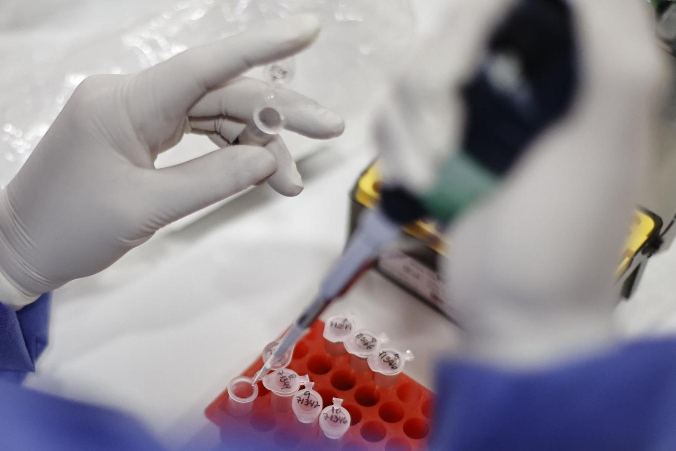 Trabajo en laboratorio - Créditos: Agencia Uno