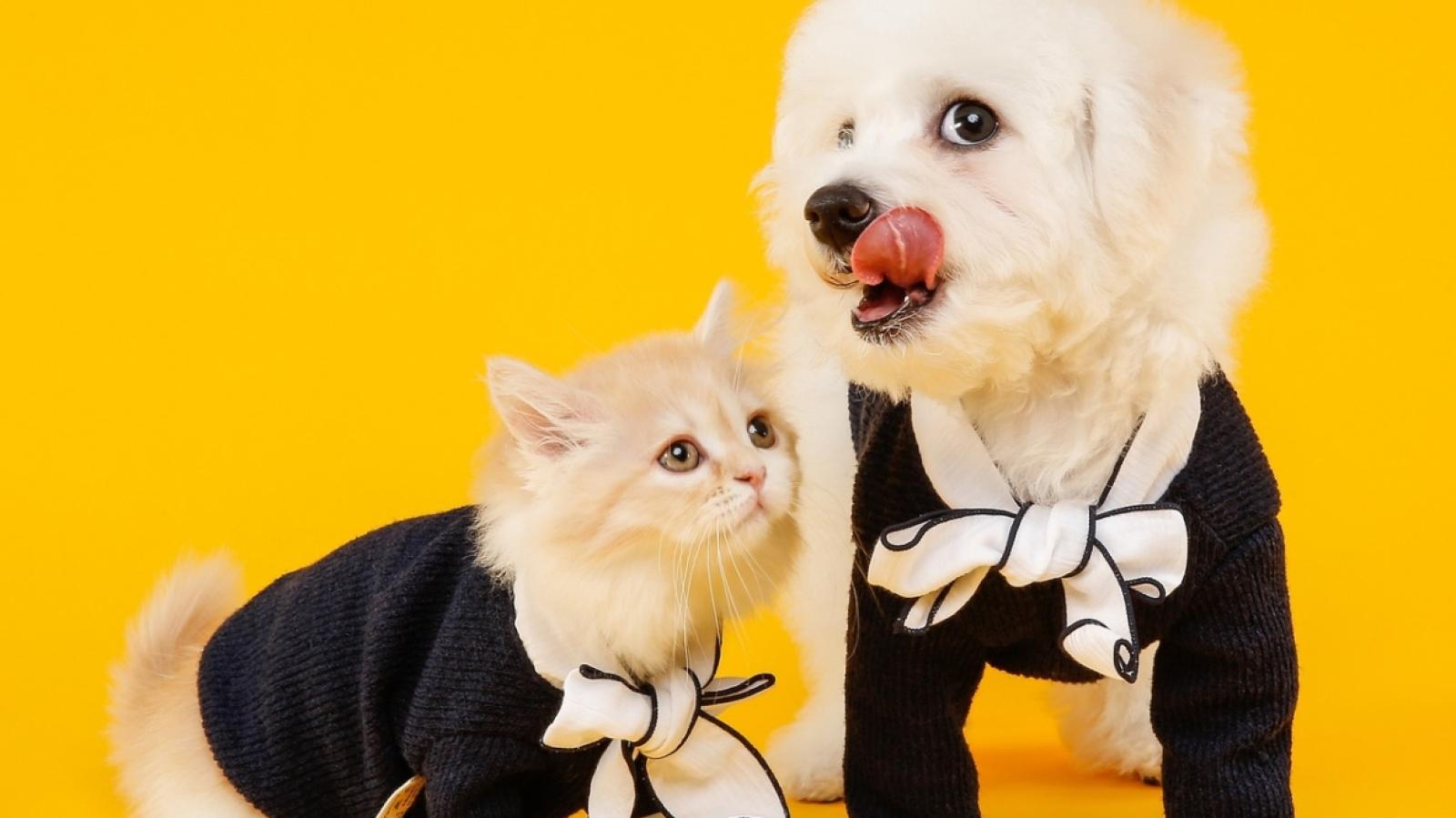 Anciana de China - Pixabay