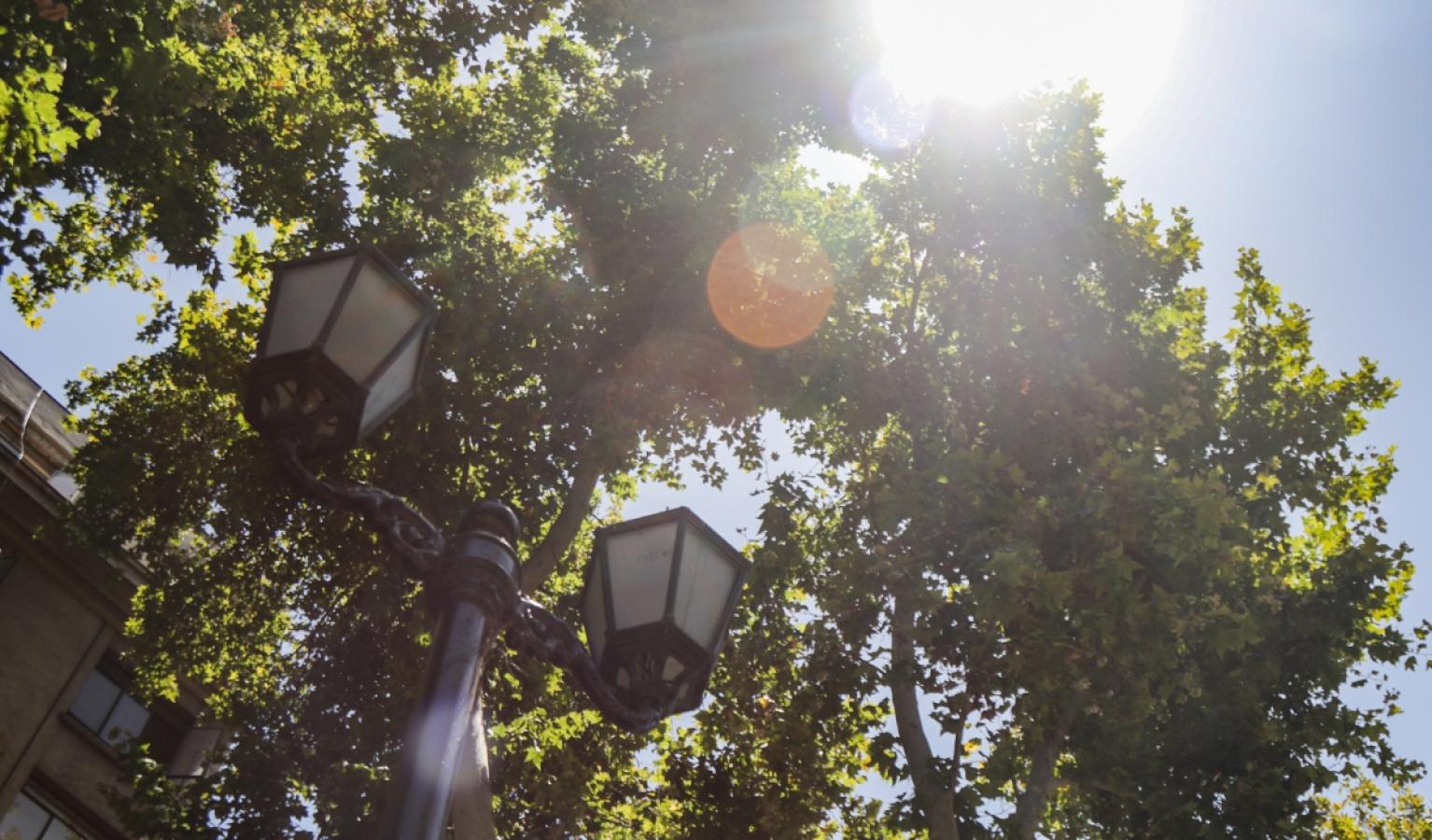 Calor en Chile - Agencia Uno