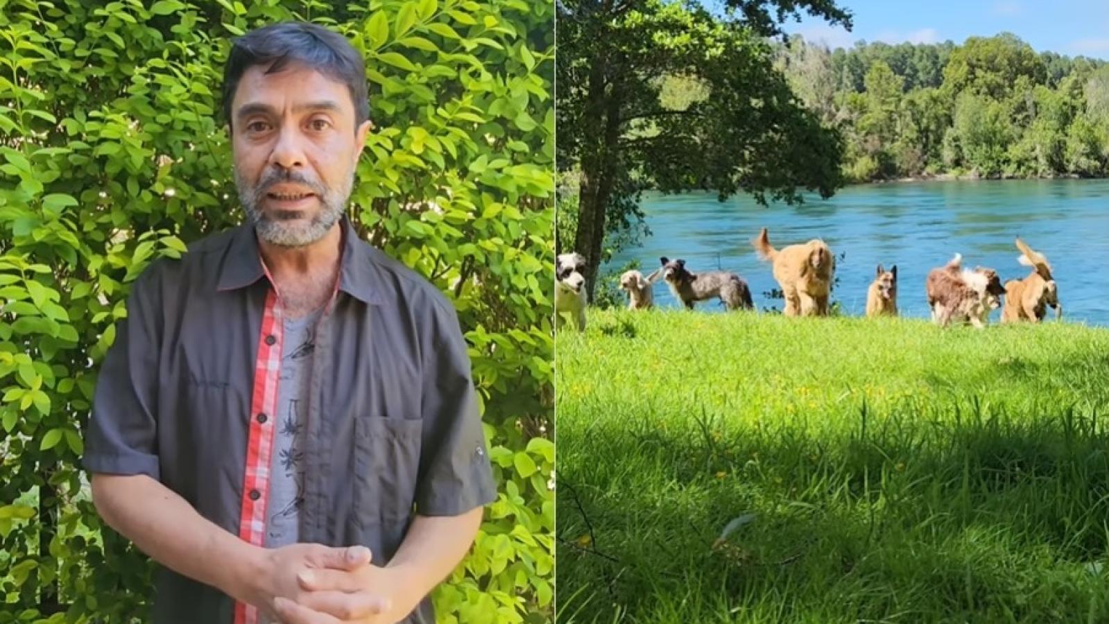 Hombre que buscaba arriendo con sus 26 perros encontró hogar