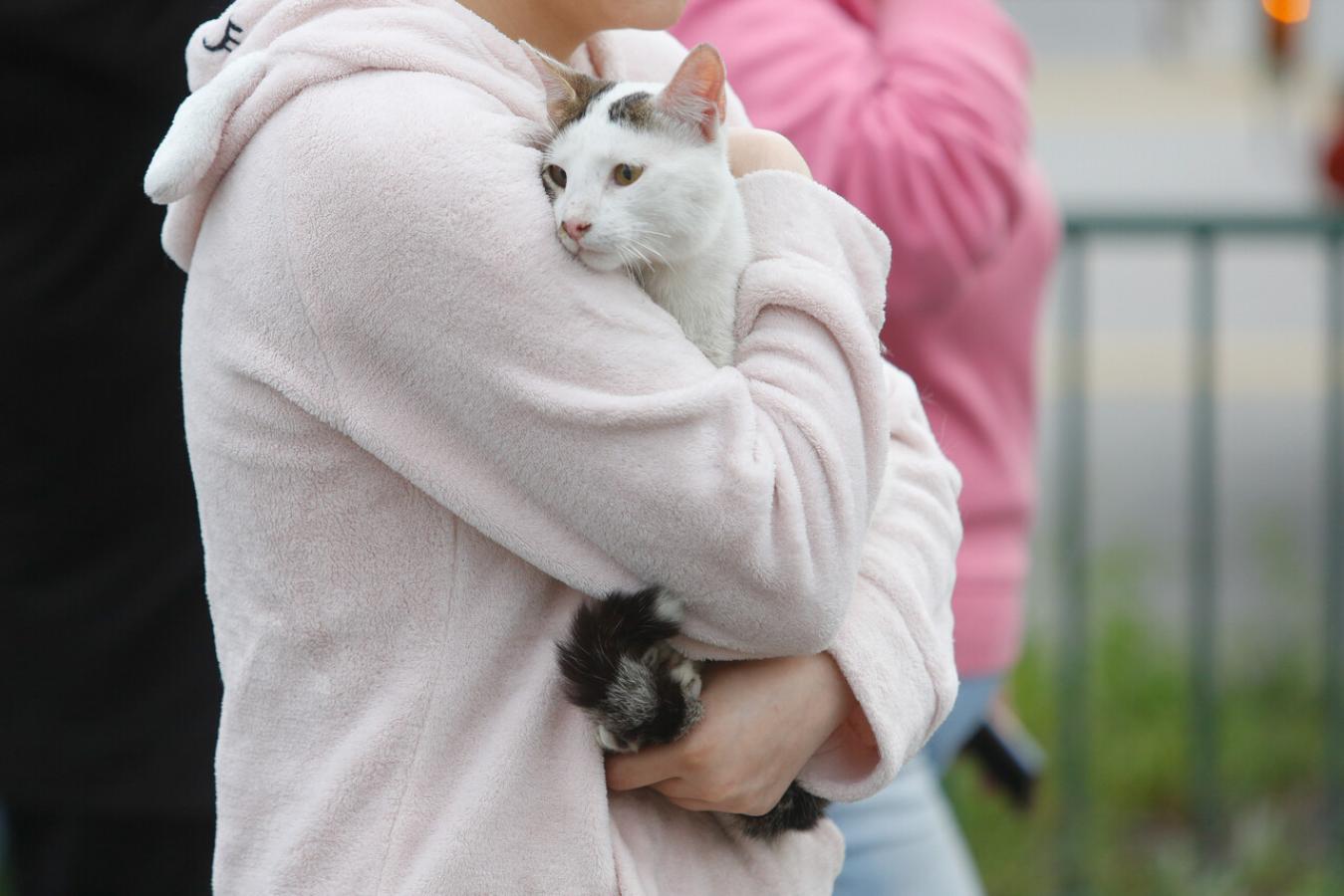 ¡No olvidar a las mascotas! - Agencia Uno