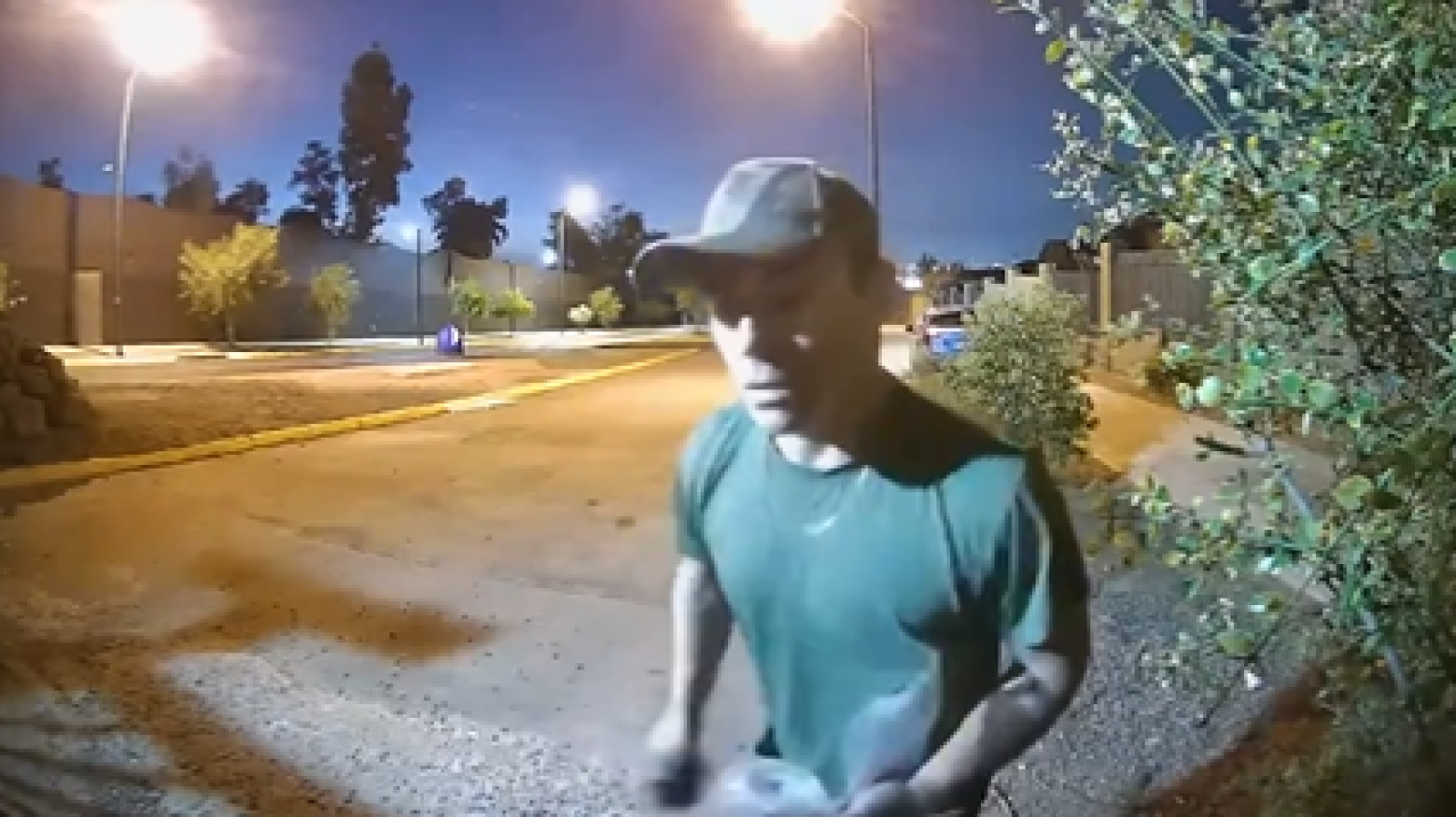 Hombre envenenado perros - Créditos: Captura