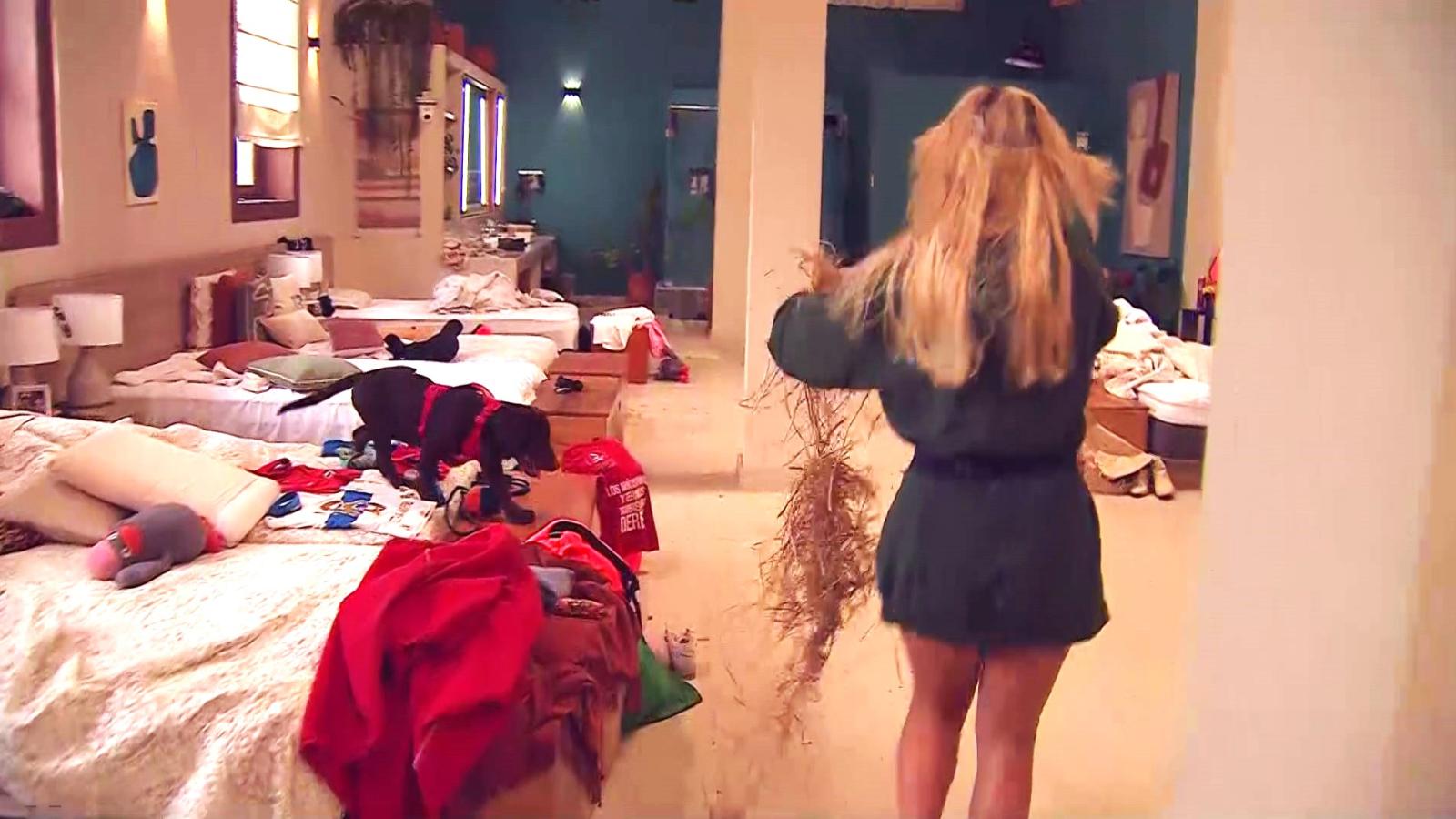 Guarén hace un desmadre en la habitación VIP