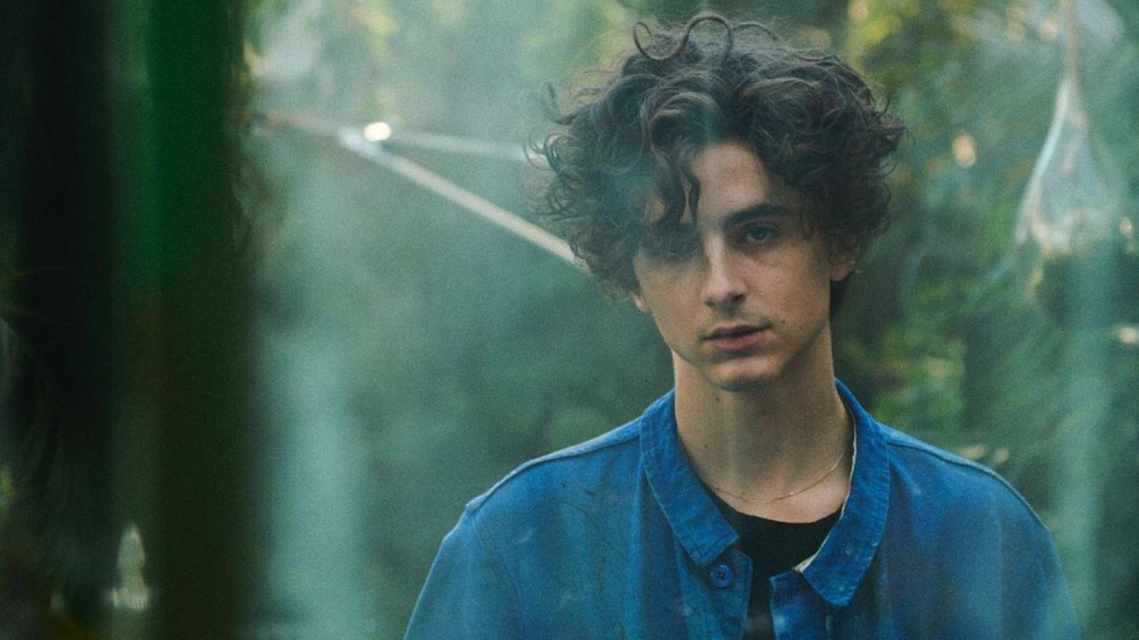 Timothée Chalamet - Créditos: Instagram