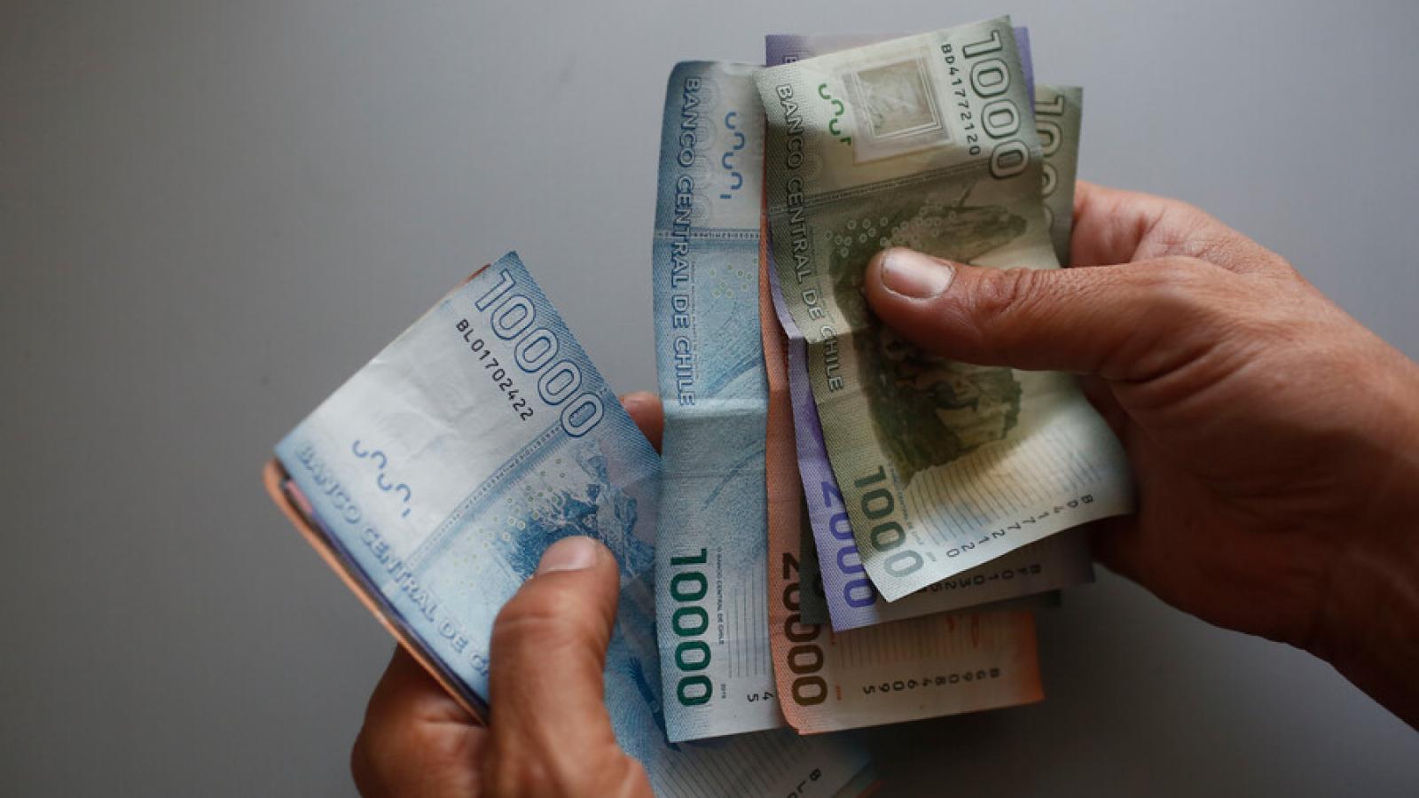 Bono Marzo 2024: así puedes consultar con tu RUT si cobras el nuevo monto 