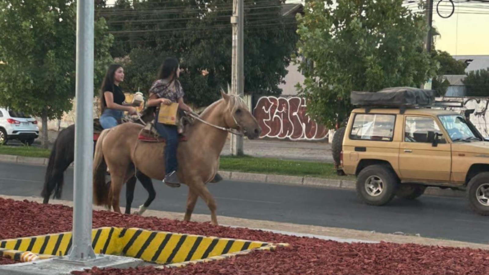 Fueron al AutoMac en caballos - Créditos: Facebook Que Talca