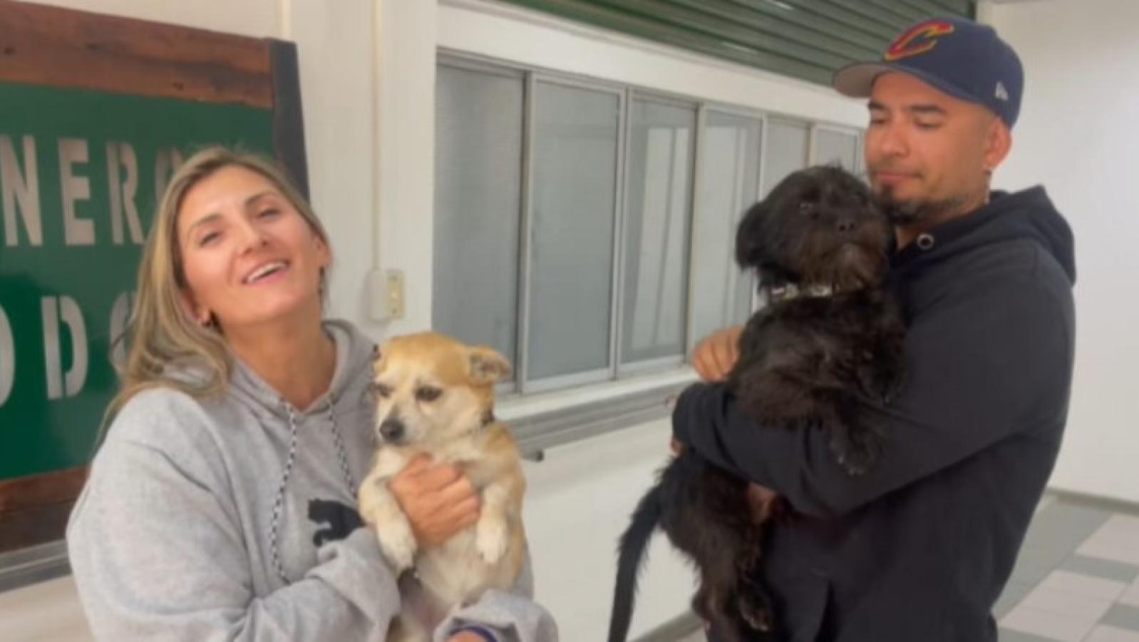 Perritos retornaron con su familia tras pasar más de una semana en comisaría de Conchalí  - Carabineros