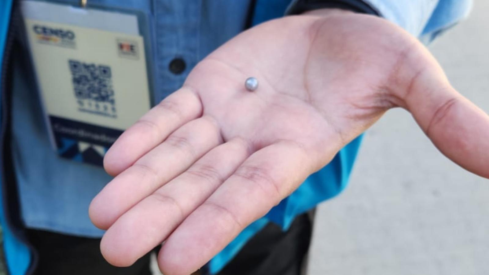 Censista recibe balín de acero en Rancagua - Redes sociales