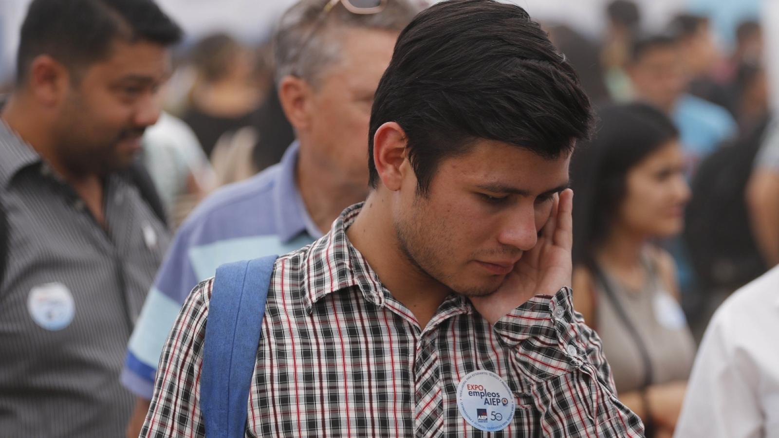 Municipalidad de Maipú ofrece trabajos - Agencia Uno