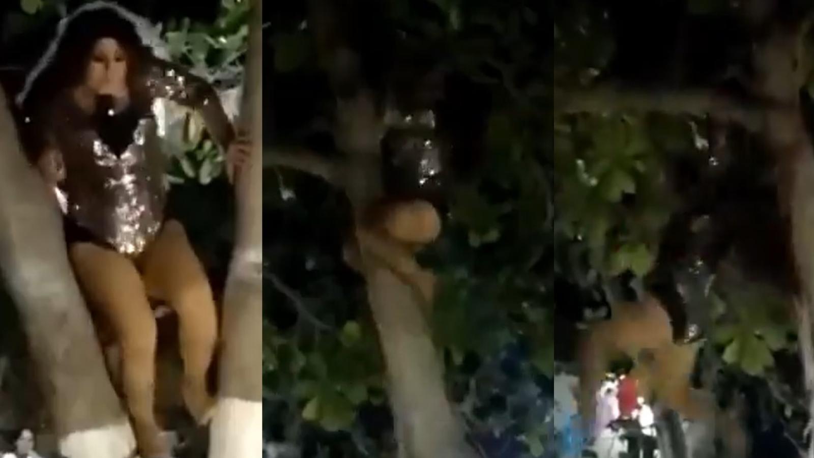 Doble de Gloria Trevi sufrió con su "pelo suelto" luego de trepar un árbol y caer estrepitosamente