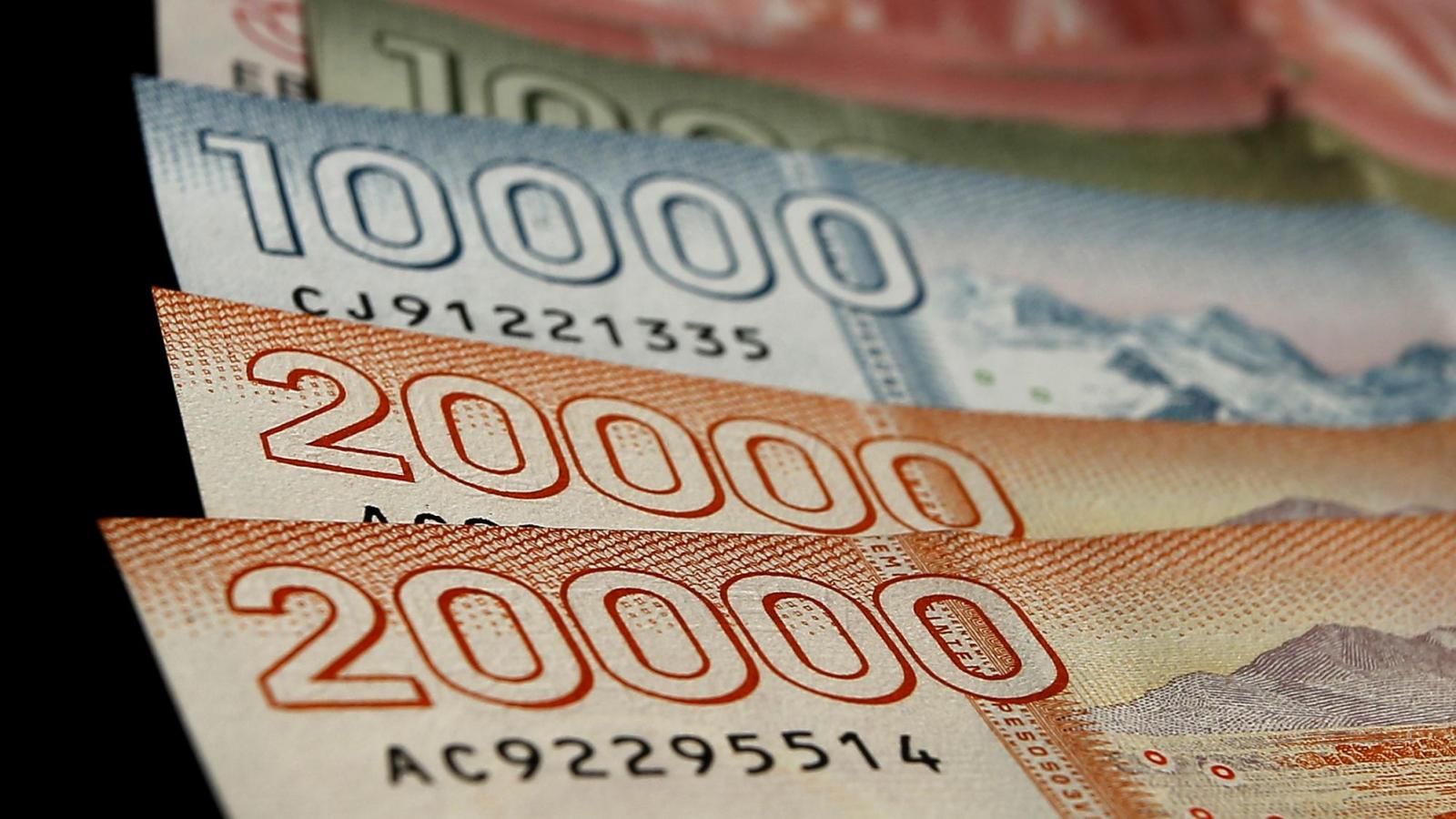 Fondos semillas ofrecen hasta $25 millones a emprededores: cómo postular  - ATON