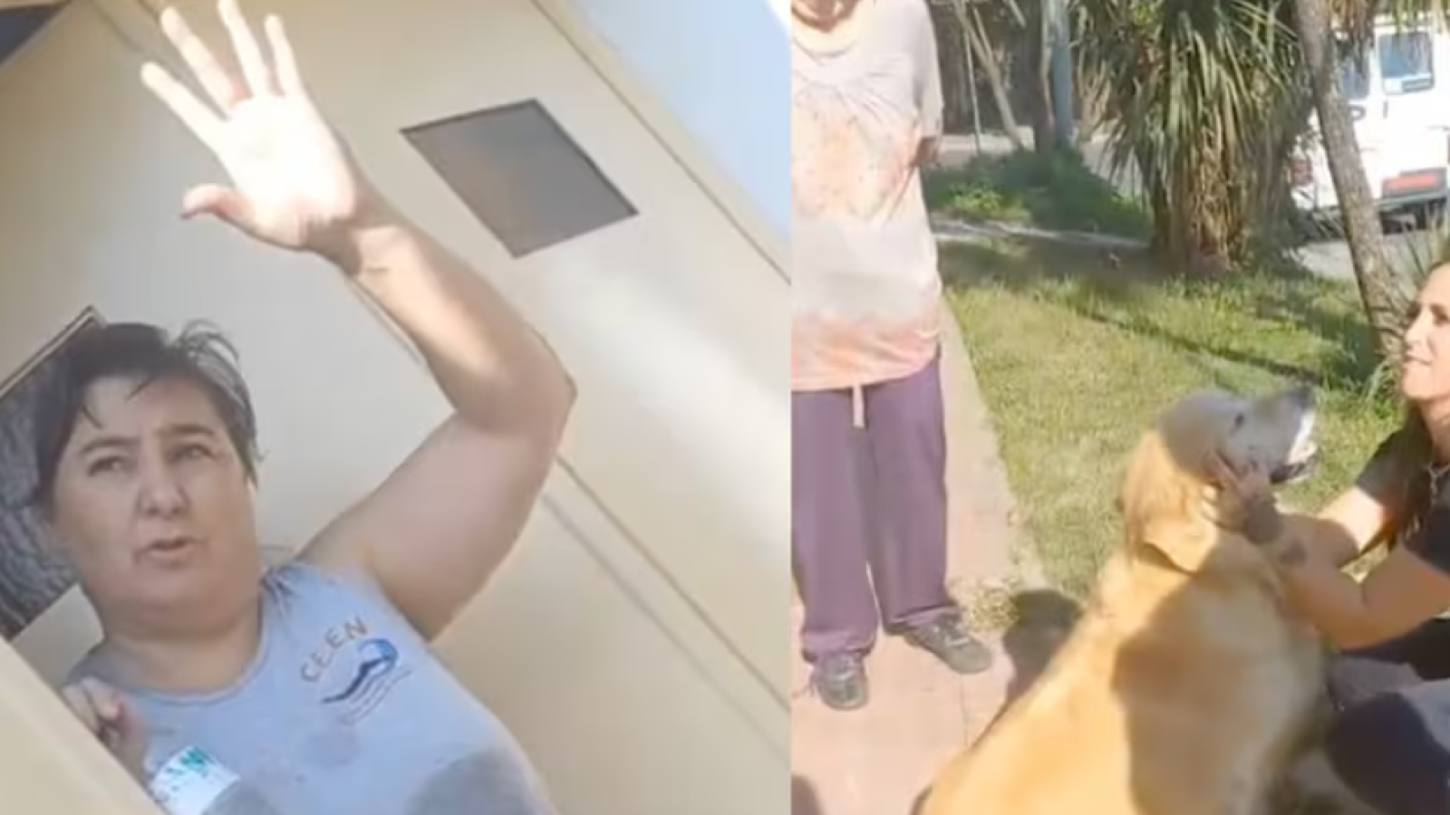 Mujer quería faenar a su perro - Créditos: Captura