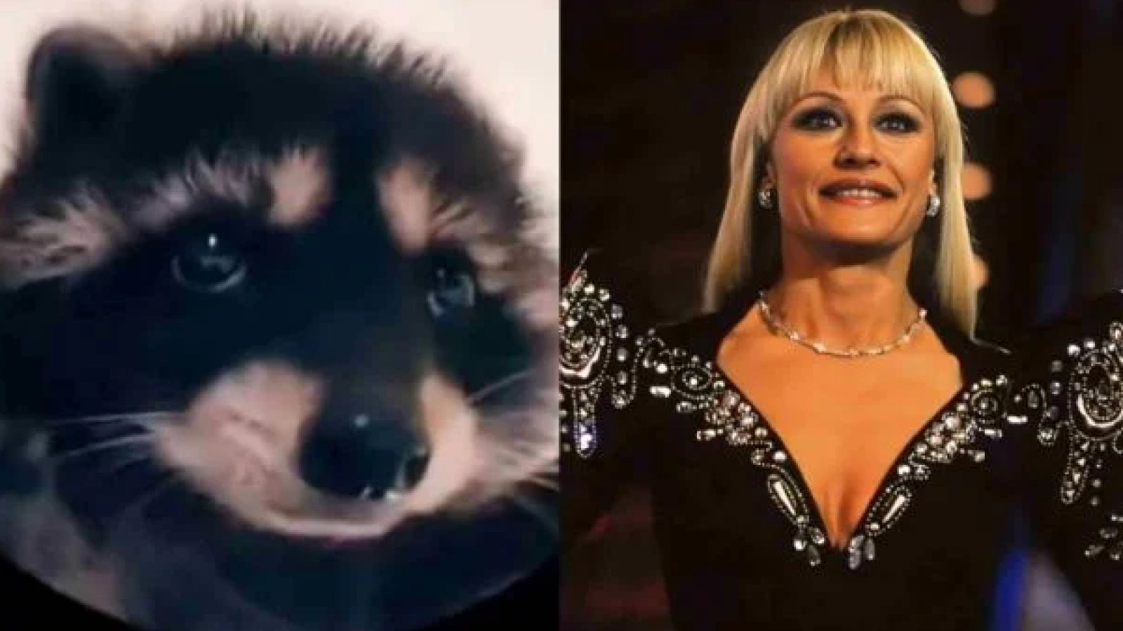 Cuál es el origen de "Pedro, Pedro, Pedro", la canción viral de Raffaella Carrà