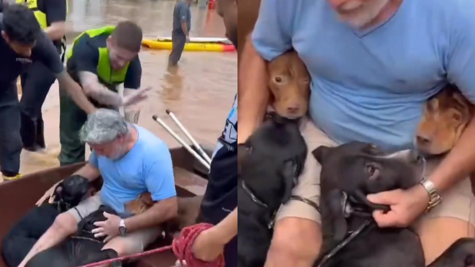 Hombre salvó a sus perros de inundación - Créditos: Captura