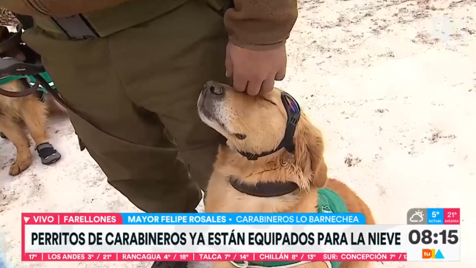 Tu Día - Créditos: Captura Canal 13