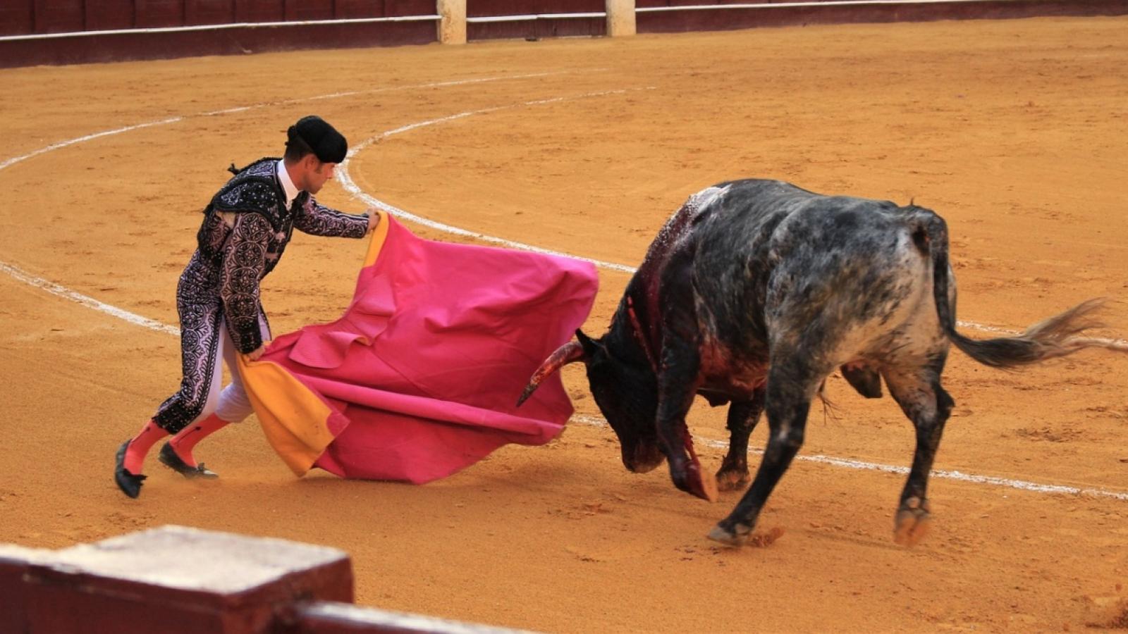 Torero español - Foto referencial