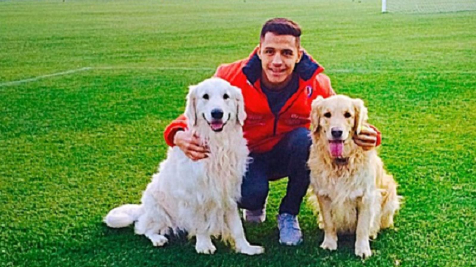 Alexis Sánchez junto a sus perros - Créditos: Redes Sociales