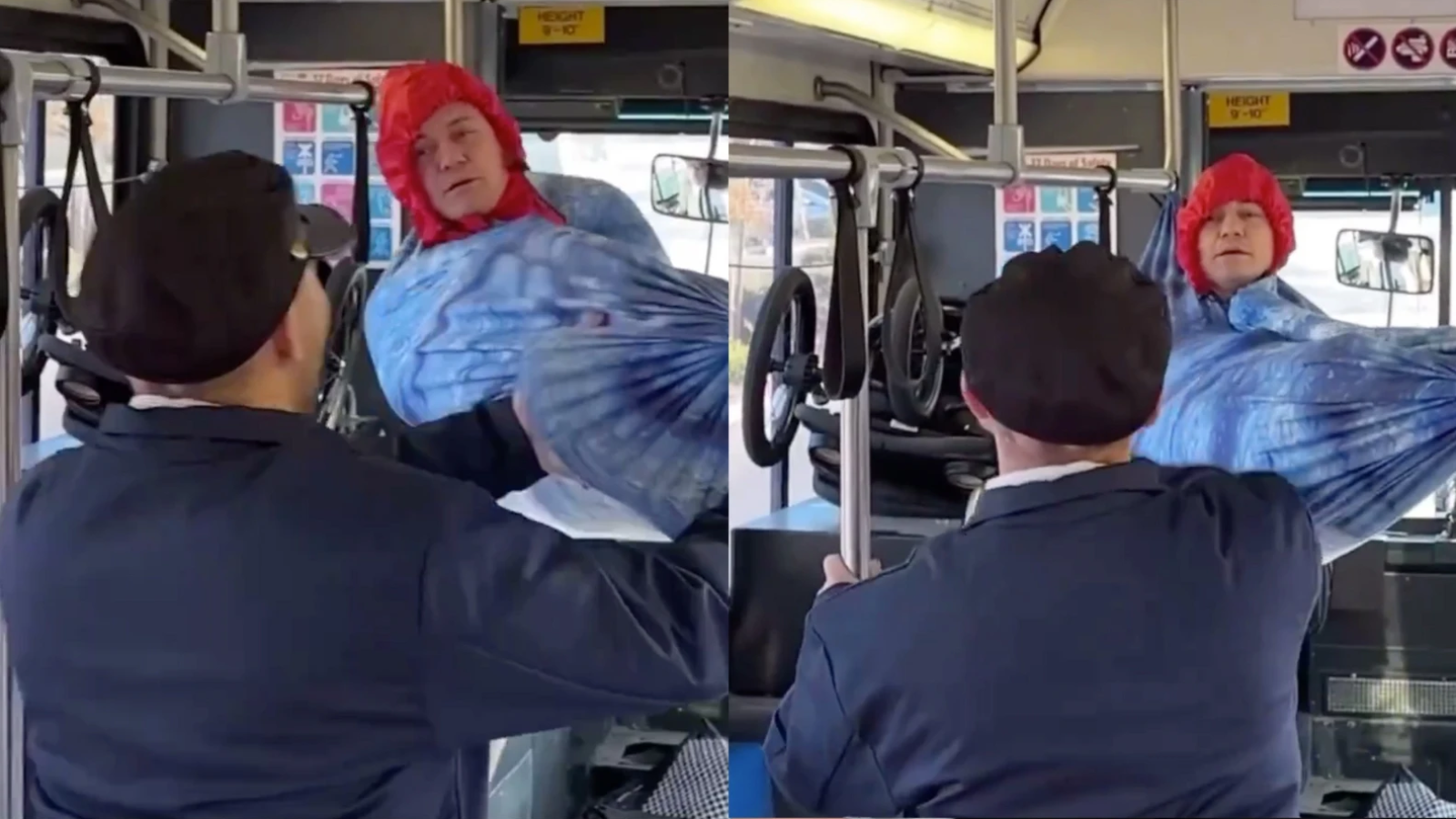 Hombre se colgó de una hamaca en un bus y alegó: "¿Dónde está el cartel de prohibido hamacas?"
