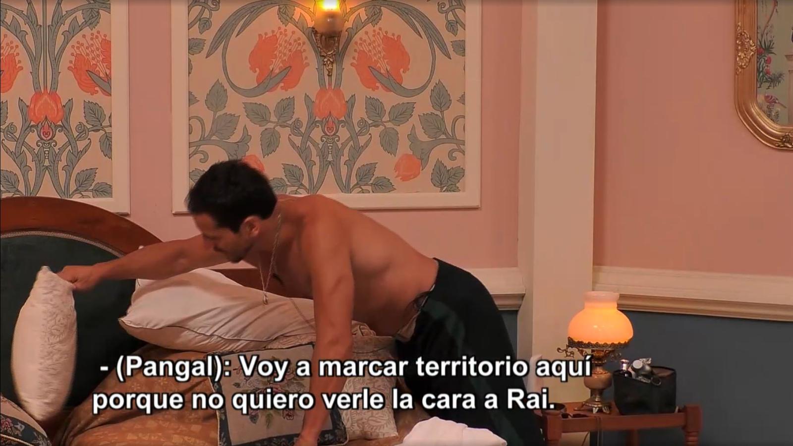 Pangal marca su territorio en Ganar o Servir