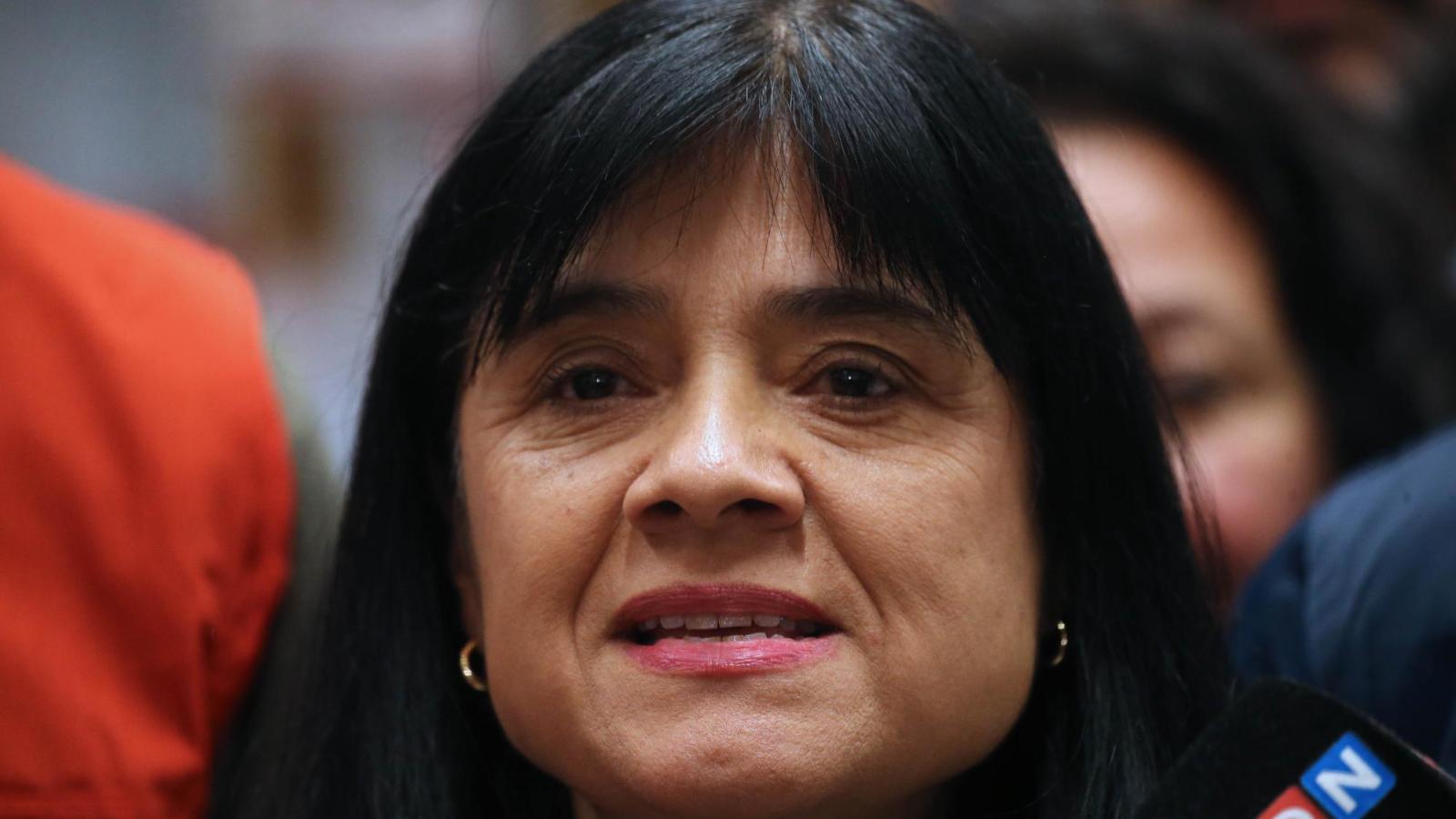 Superintendenta de la SEC solicita que clientes sin luz llamen a las empresas para notificar la falta de suministro