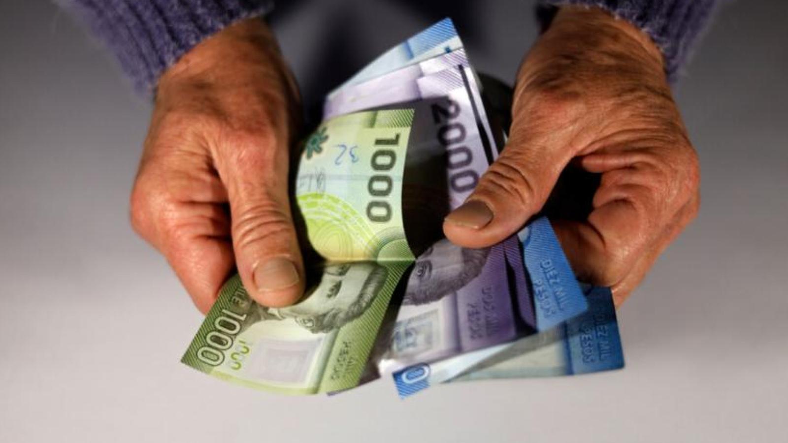 Bolsillo Familiar Electrónico