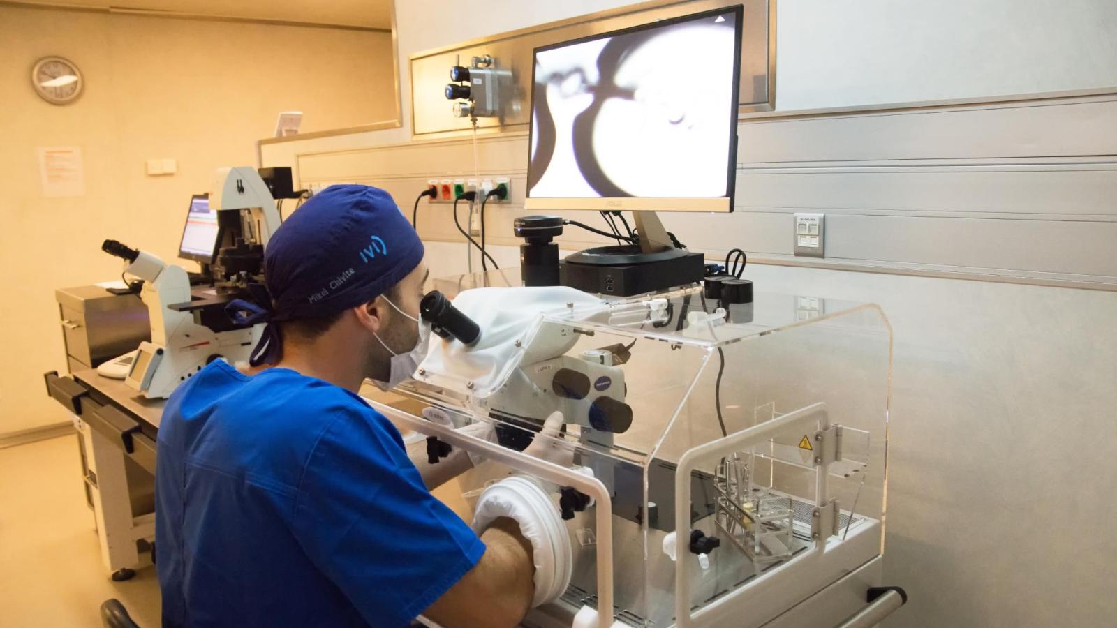 Fecundación In Vitro - Cedida