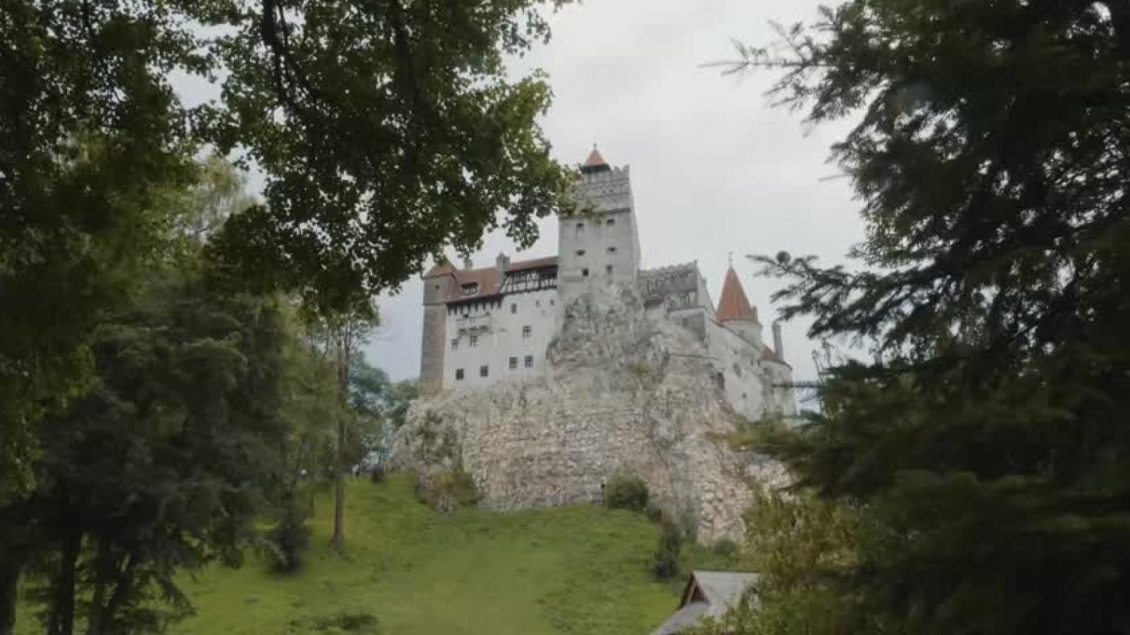 siempre hay un chileno