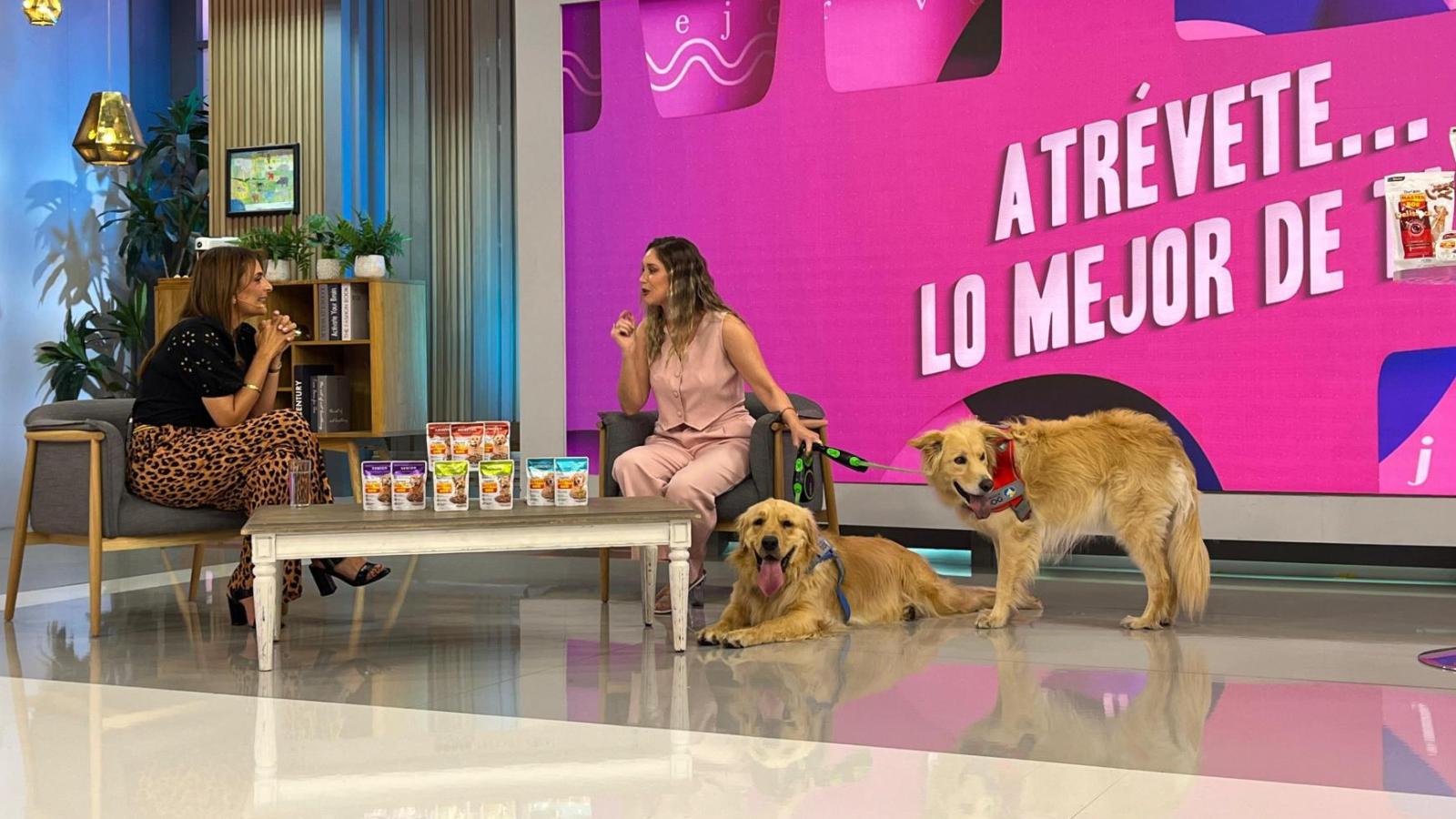 Pía Pérez y sus perritos