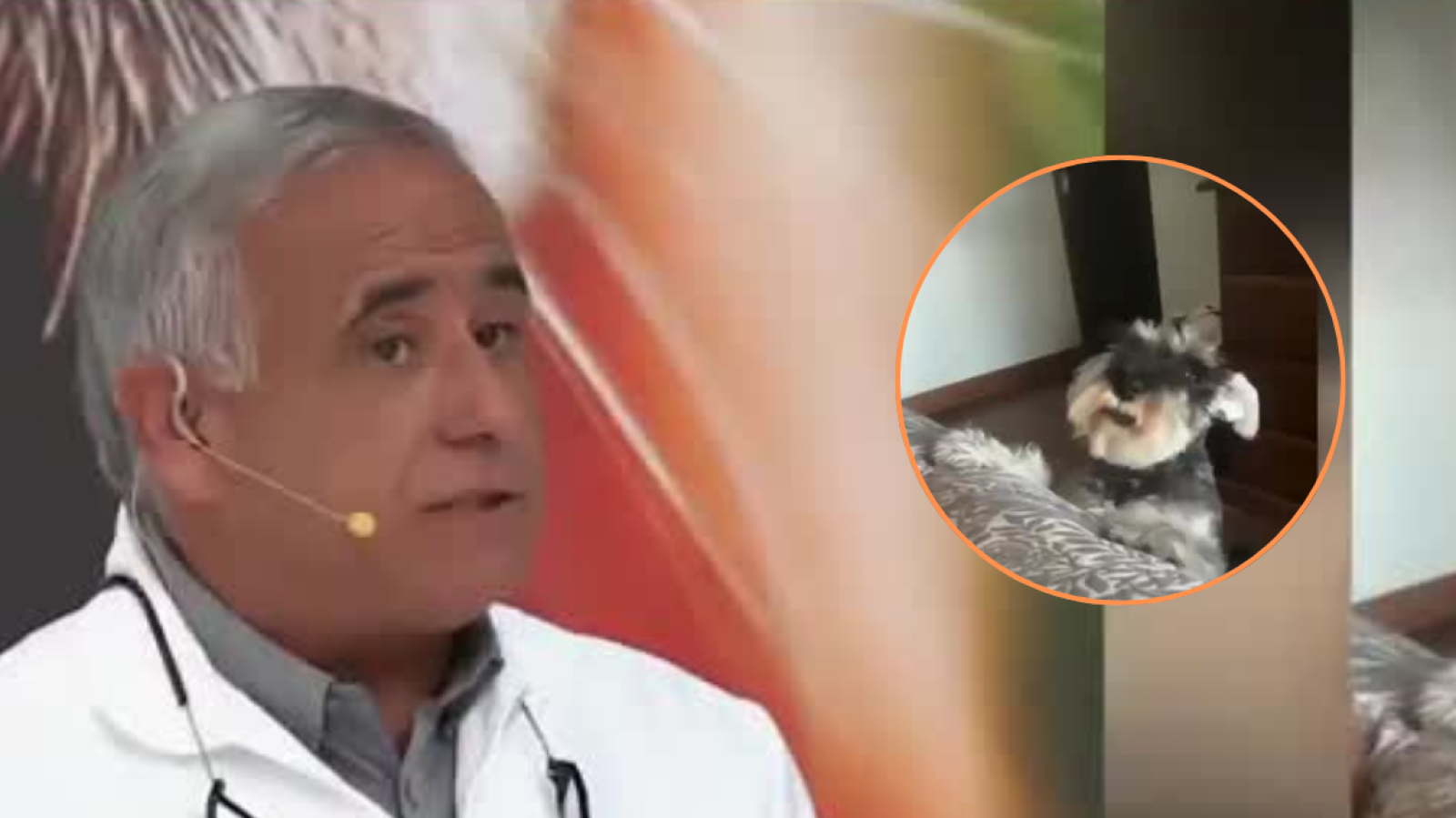 Doctor Ugarte