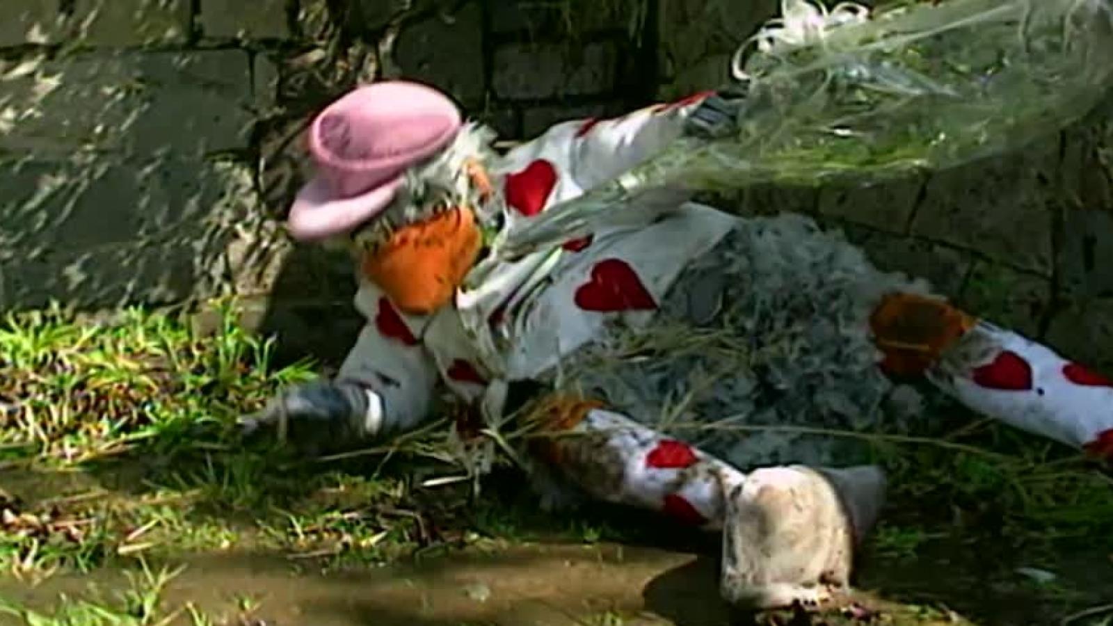 El mundo del Profesor Rossa