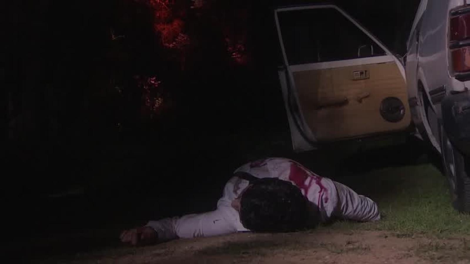 Secretos en el jardín