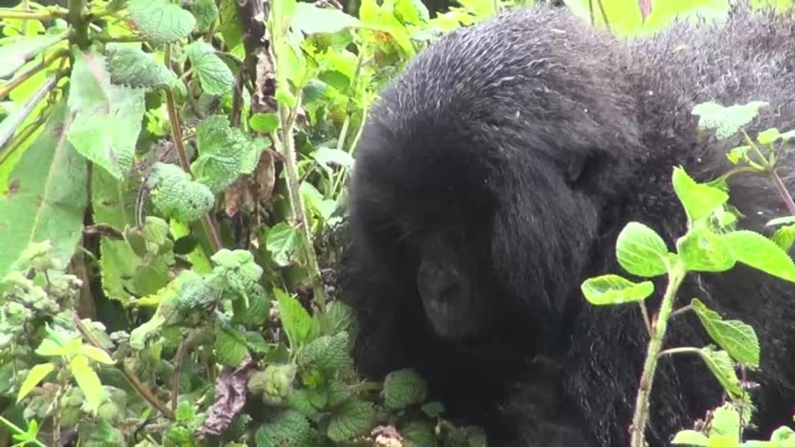 Maravillas del Mundo