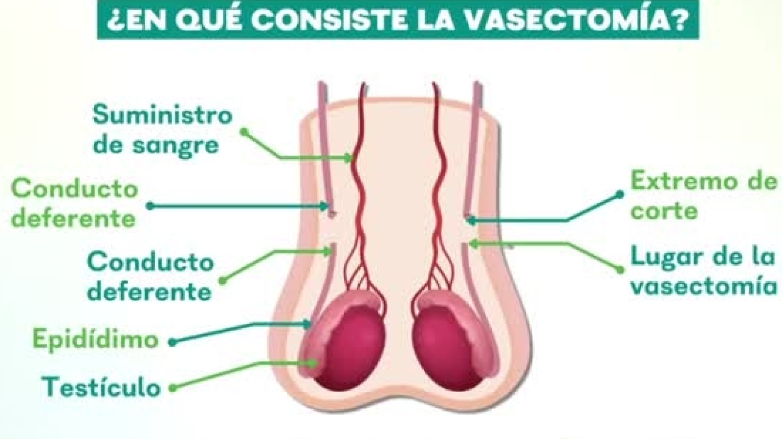 Atrévete... lo mejor de ti