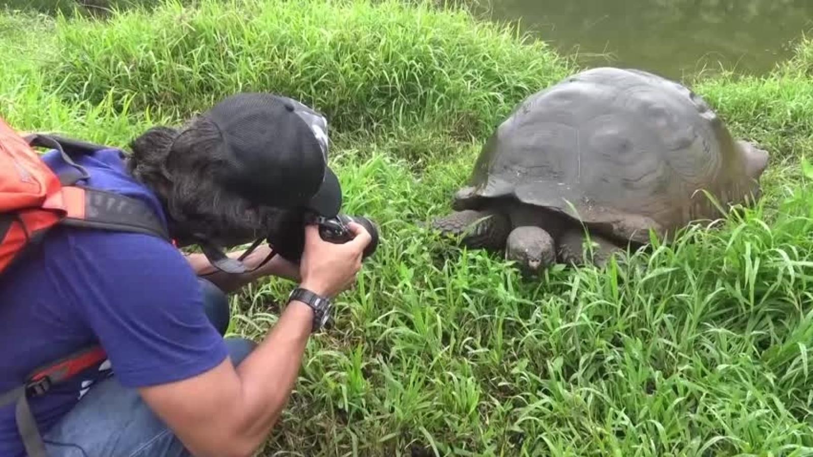 Maravillas del Mundo